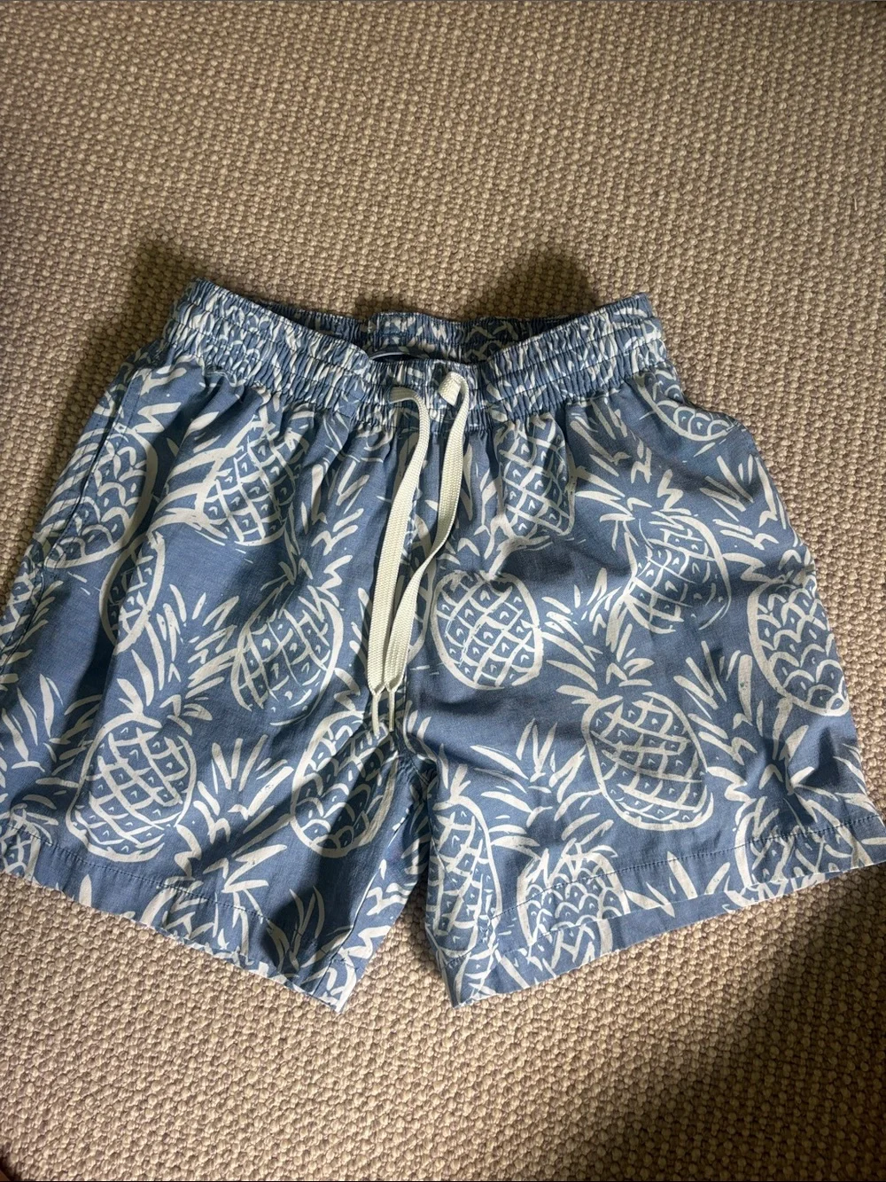chubbies Blue Pineapple Print Swim Trunks